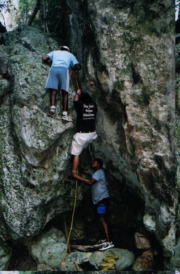 Before the Tory Cuts there was a ladder